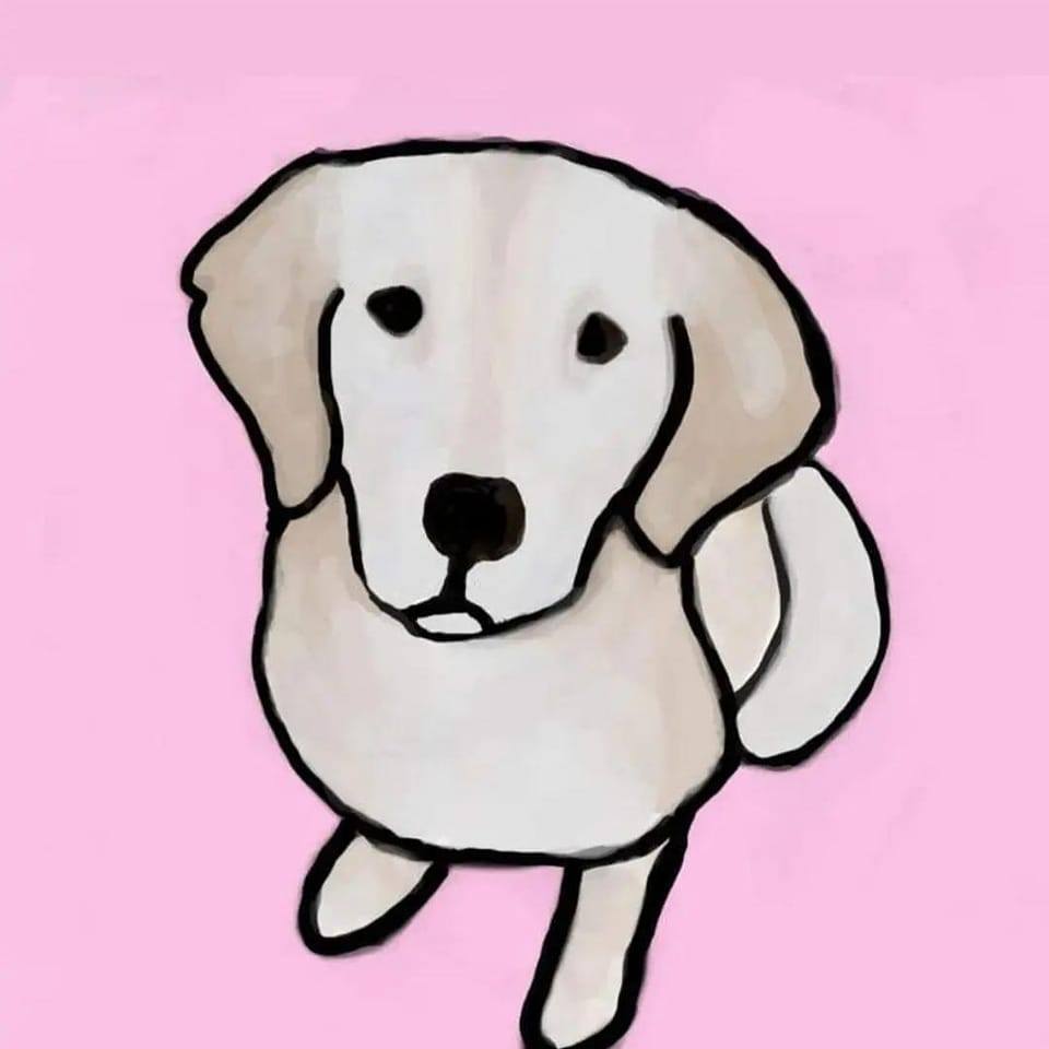 golden retriever outdoor park