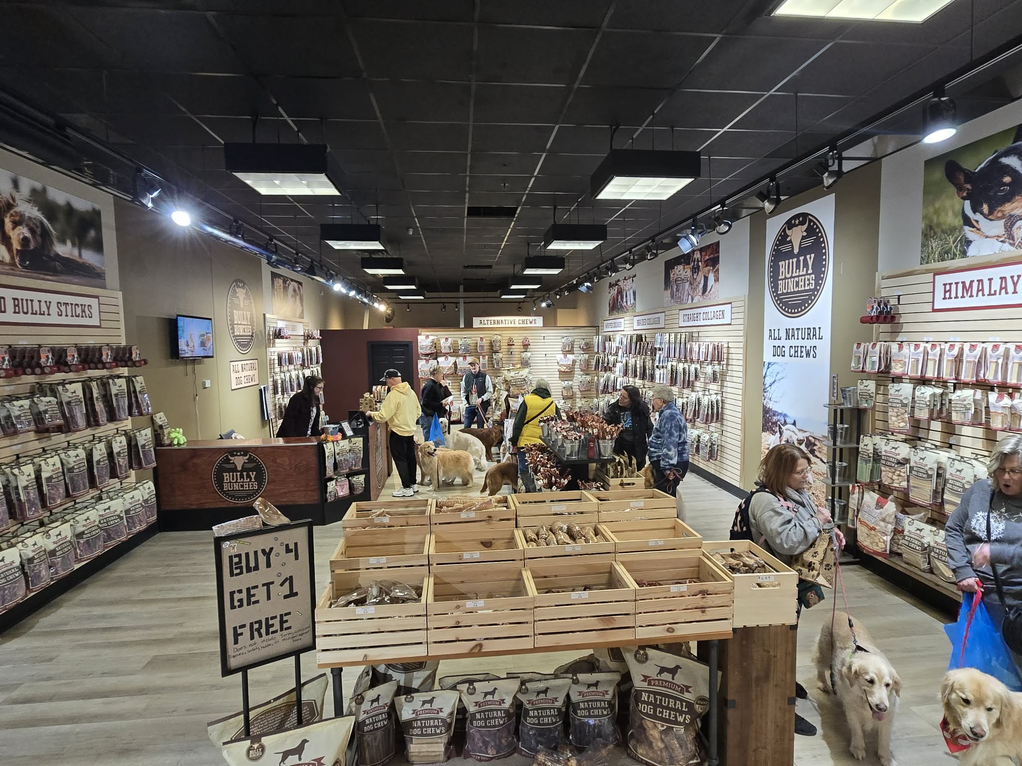 golden retriever walking group